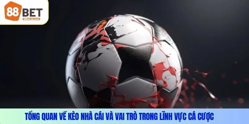 Tổng quan về kèo nhà cái và vai trò trong lĩnh vực cá cược 